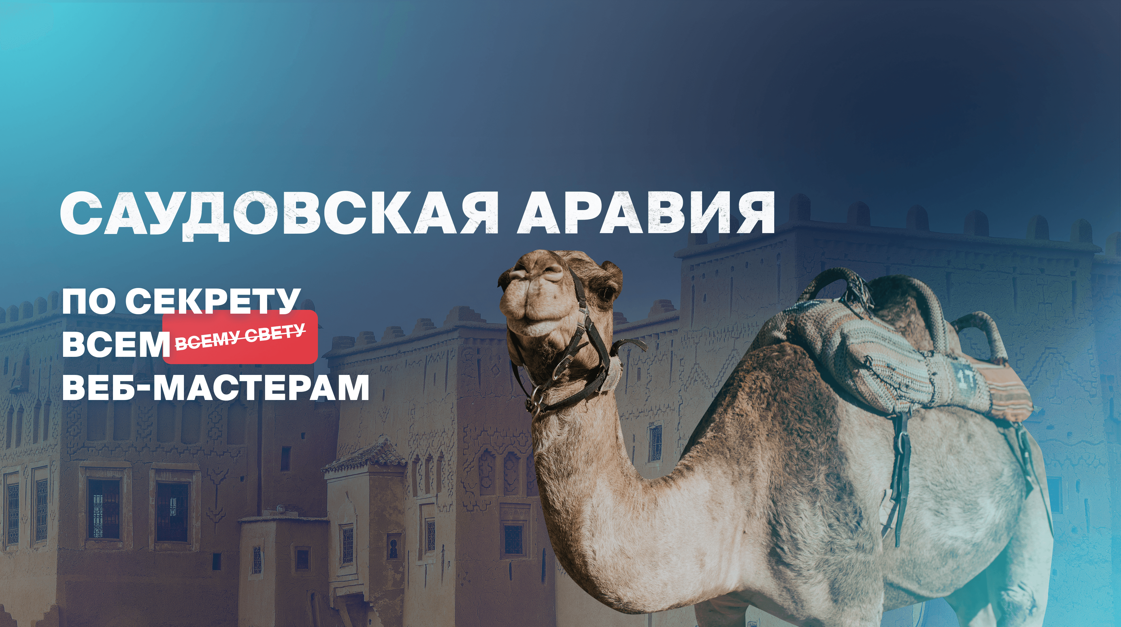 Откровения с операторами КЦ: Саудовская Аравия